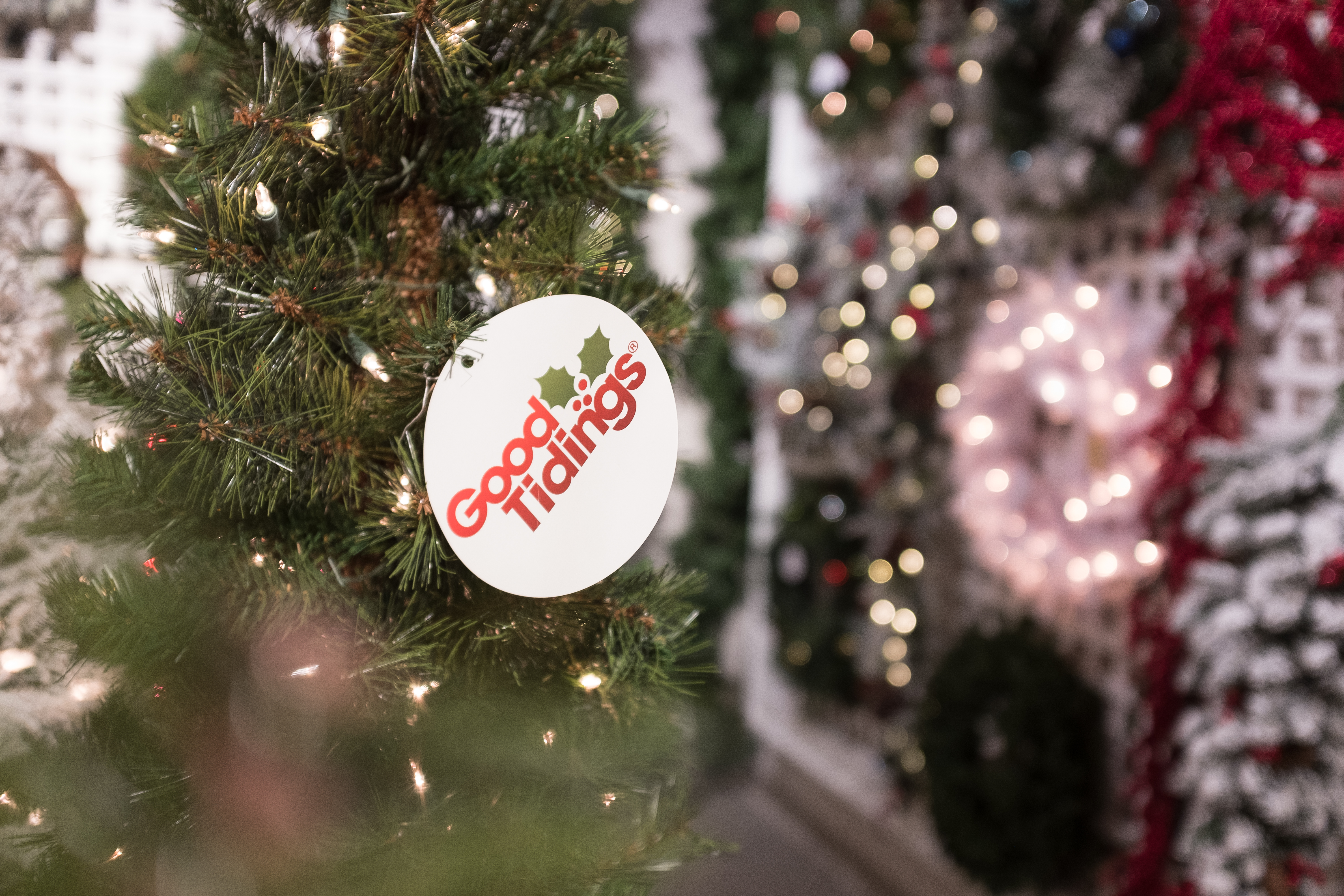 Good Tidings Private Label Tree