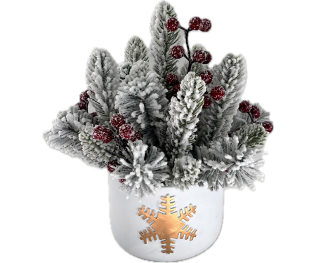 Tree in White Snowflake Pot
