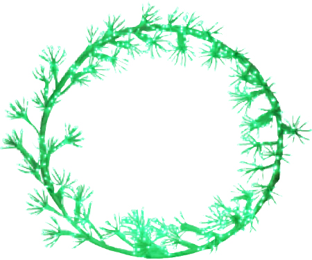 Wreath with LED Cluster Lights - 30" Diameter