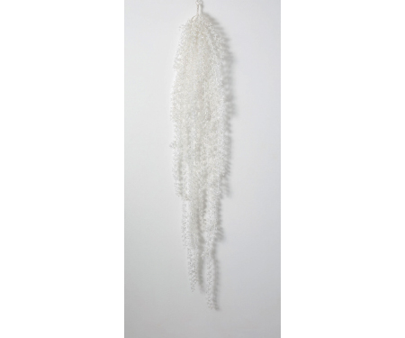 Hanging Vine