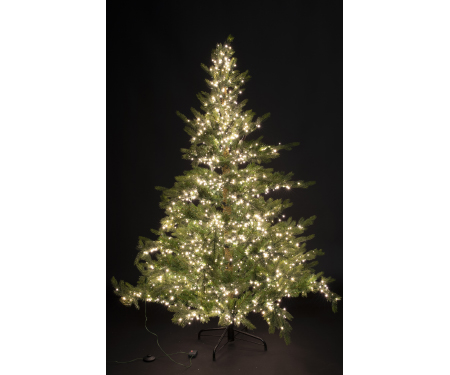 Grandis Fir Tree - Warm White LED Lights (7.5' H)